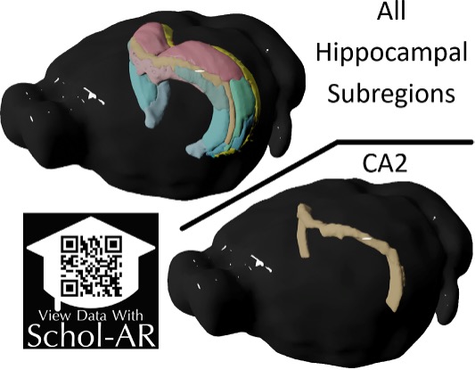 Journal of Comparative Neurology